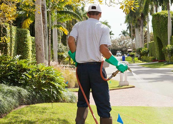 About Brewster WA Pest Control Pros